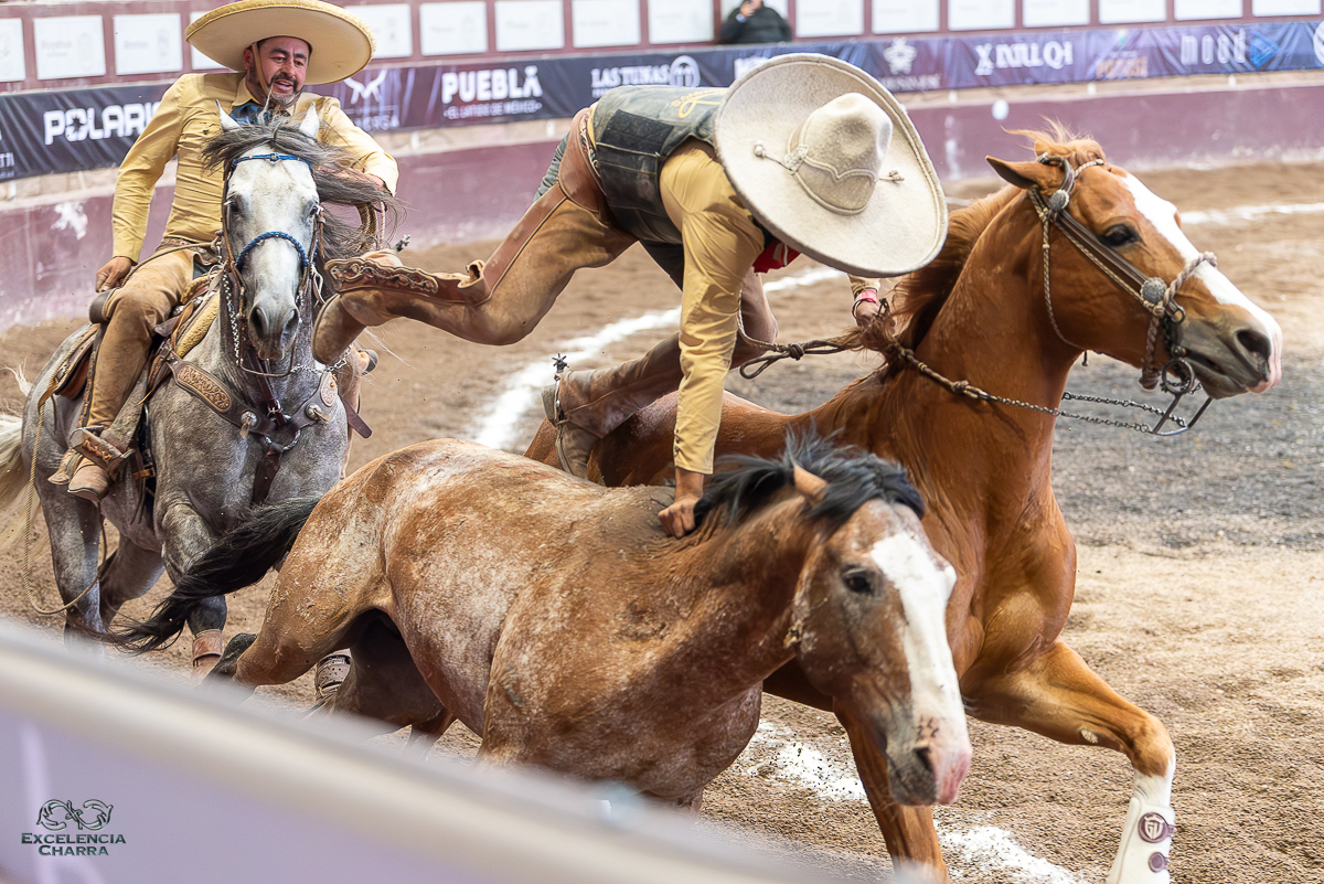 Víctor Garduño ejecutando el emocionante paso de la muerte de Valle de Saltillo
