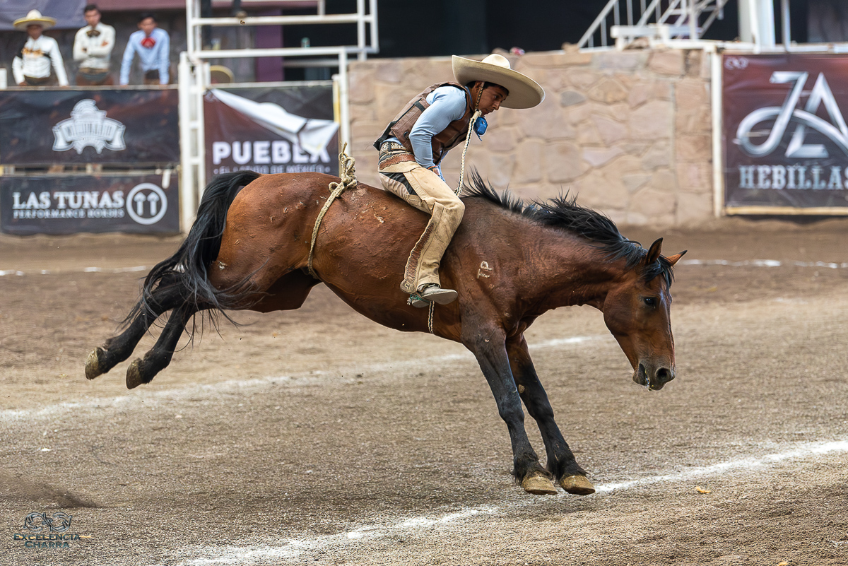 Los Regionales de San José Iturbide ganan la última competencia de la segunda fase