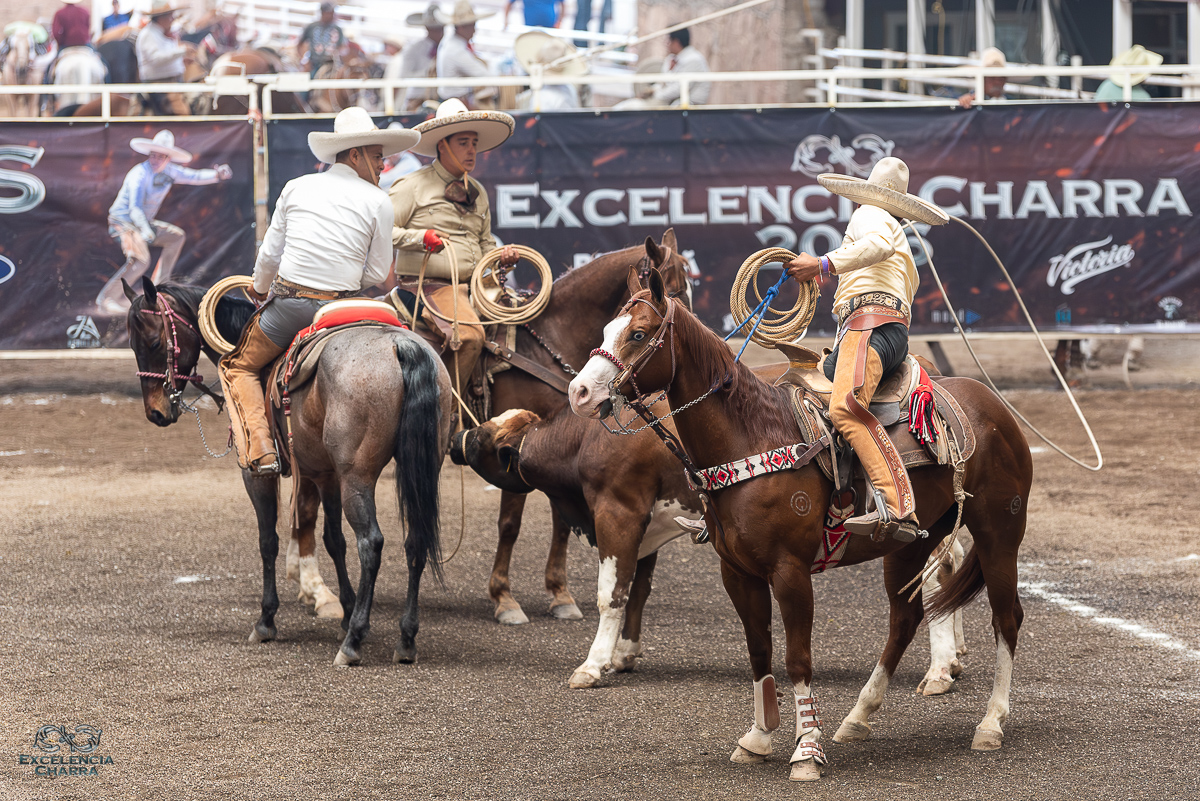 Ulises Valenzo rematando el pialazo en el ruedo de 34 puntos, completando la terna de Rancho Santa Inés "San Carlos"