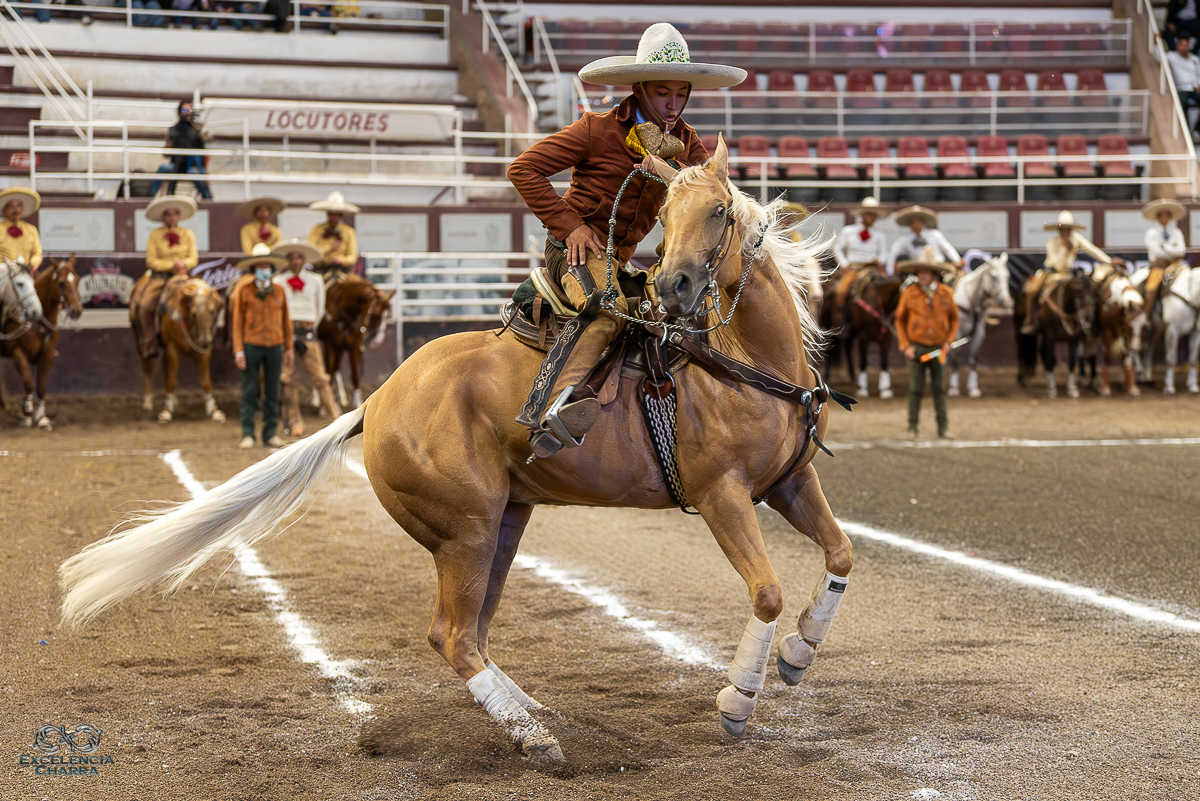 Daniel Pineda logró 37 unidades de la cala de caballo para Sagrado Corazón