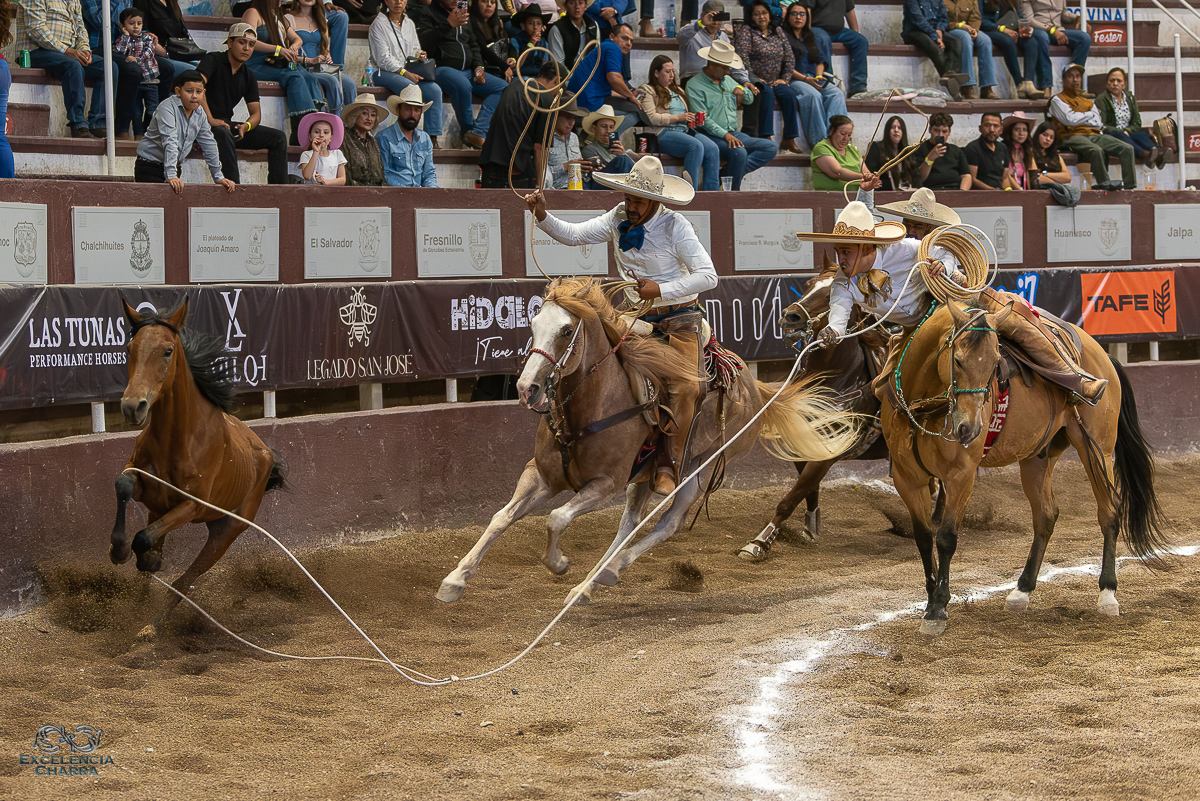 Alejandro Aguilar acertando el remate de máscara en esta mangana a caballo por la agrupación Francisco I. Madero
