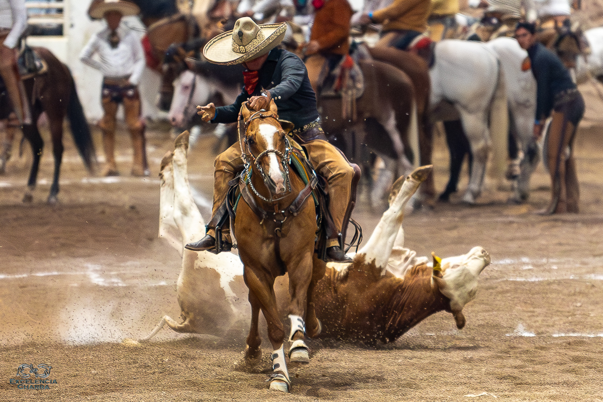 Pedro Ocampo consiguió dos redondas derechas y una redonda contraria, coleando para Rancho El Cócono