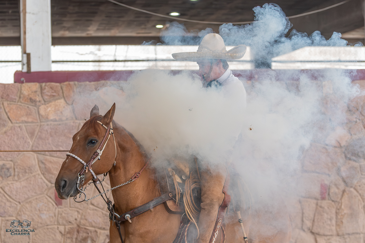 Juan Franco de Anda, de Rancho El Mirasol, perfumó la manga con este pial en el lienzo