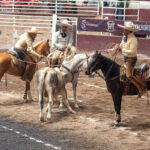 Resultados y clasificación de la segunda fase eliminatoria en Zacatecas al momento
