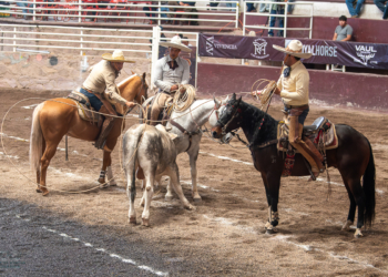 Resultados finales de la segunda fase eliminatoria en Zacatecas