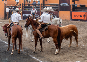 Hacienda Tamariz abre con triunfo la tercera fase del Circuito Excelencia Charra 2026