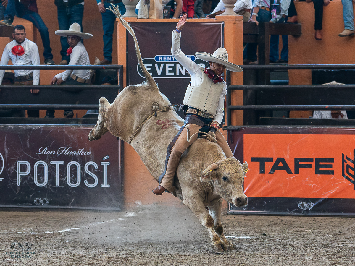 Rafael Estrada completando el jineteo de toro por la causa de los Treinta Caballeros de Veracruz