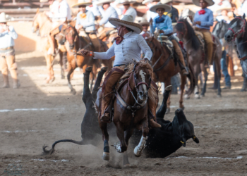 Resultados finales de la tercera fase eliminatoria en México
