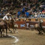 Grupo Violante firma espectacular victoria con 443 puntos