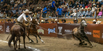Grupo Violante firma espectacular victoria con 443 puntos