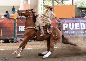 Resultados del Caladero de Excelencia Charra Fase 3 en México