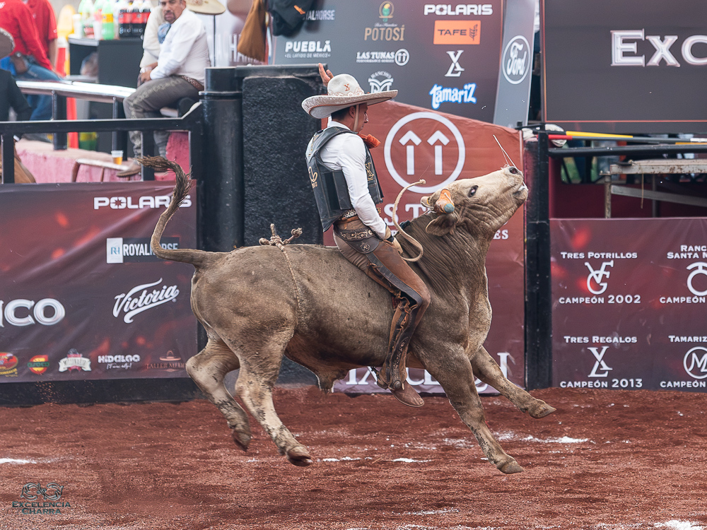 Jacobo González hizo válida su jineteada de toro y cobró 22 puntos para los Tres Regalos "Ixtul"