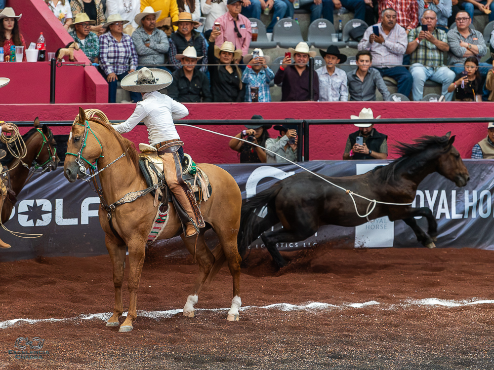 RG2 se acerca a los cuartos de final de Excelencia Charra 2026