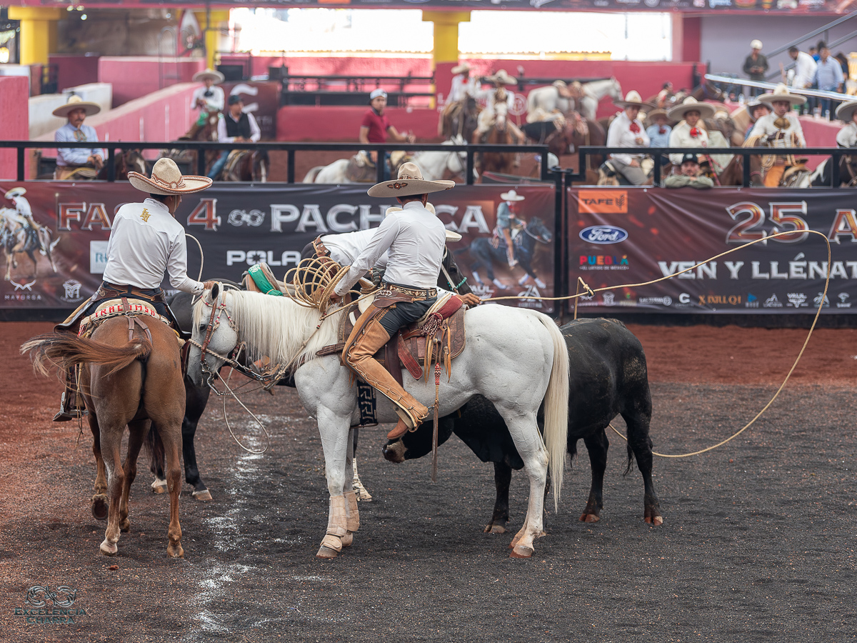 Héctor Pineda rematando el pial en el ruedo para completar la terna de La Hermandad de Hidalgo