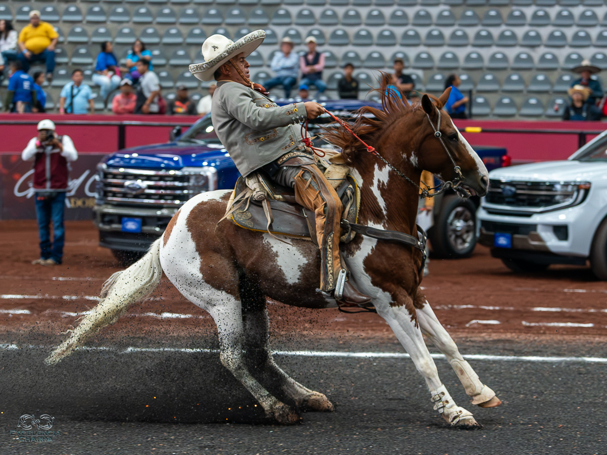La cala de caballo de José Luis Álvarez, de Regionales de San José Iturbide, fue de 35 puntos
