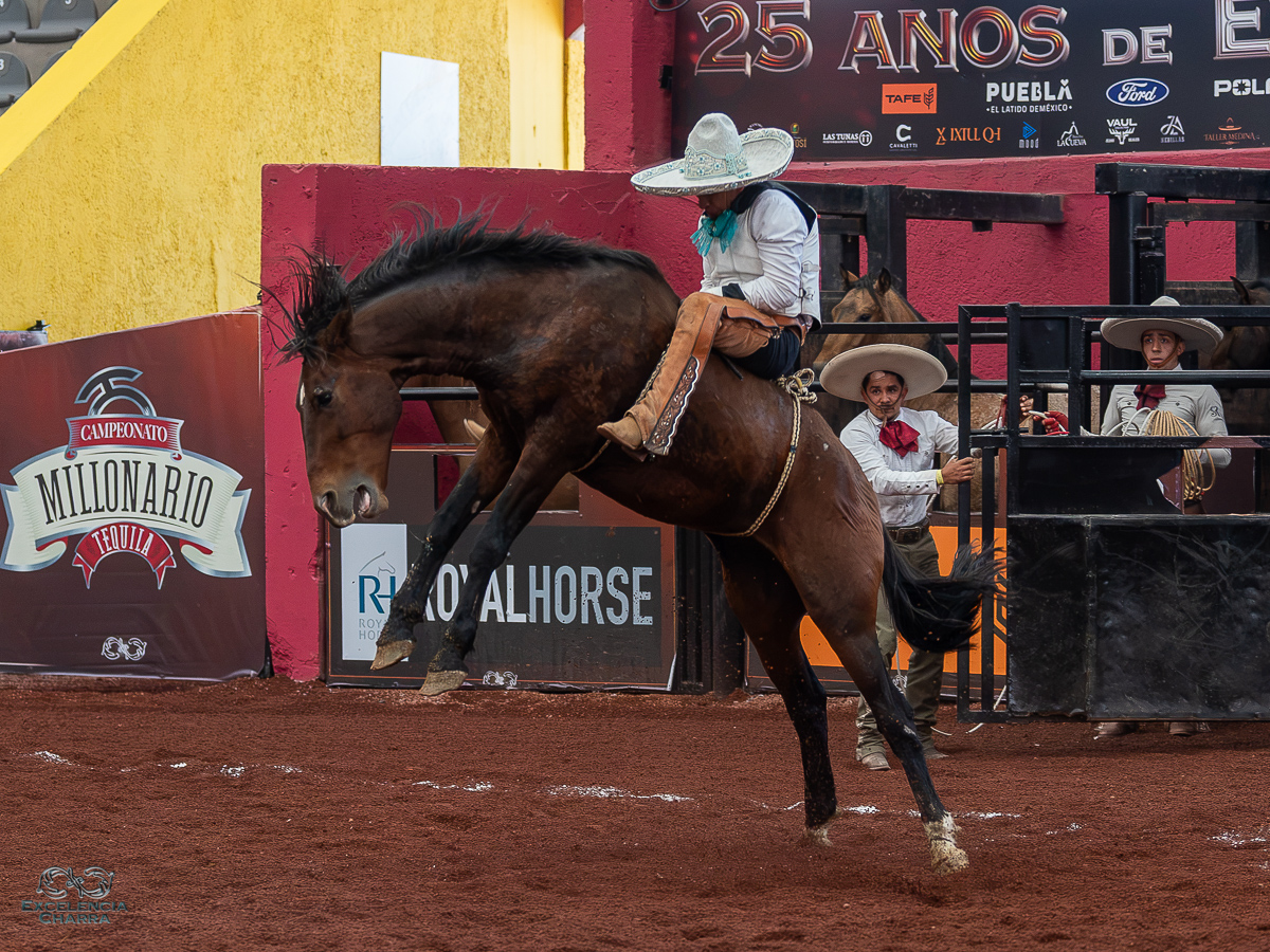 Gerardo Bonilla le ganó a la yegua en su monta y cobró 26 puntos para Hierro Santo "Edén"